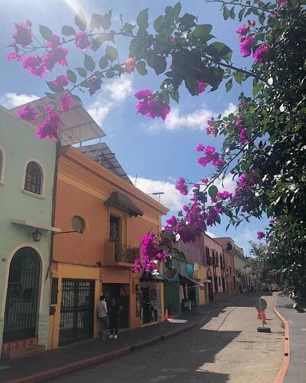 colorful street in Cuernavaca mexico