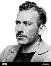 John Steinbeck, John Ernst Steinbeck Stock Vector Image & Art - Alamy