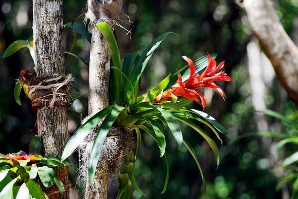 Scape Park | Nature Adventure Park in Punta Cana