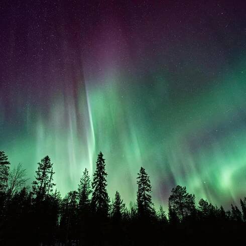 Symboldbild Sonnensturm: Polarlichter entstehen wenn die von der Sonne ausgestoßenen geladenen Teilchen auf das Magnetfeld der Erde treffen. 