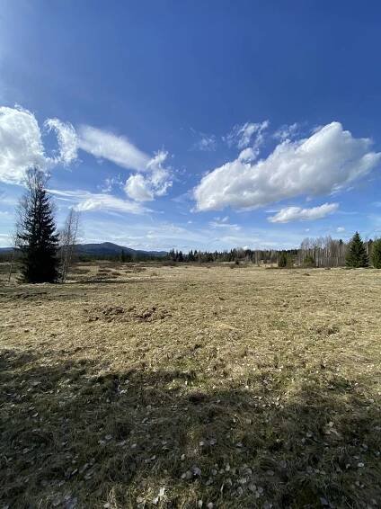 Ubytování Volary - Chlum, Apartmán Nad Soutokem - Šumava apartmán, 17988
