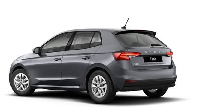 OM11001535_12.webp_Fabia 130 let 1,0 MPI 59 kW)