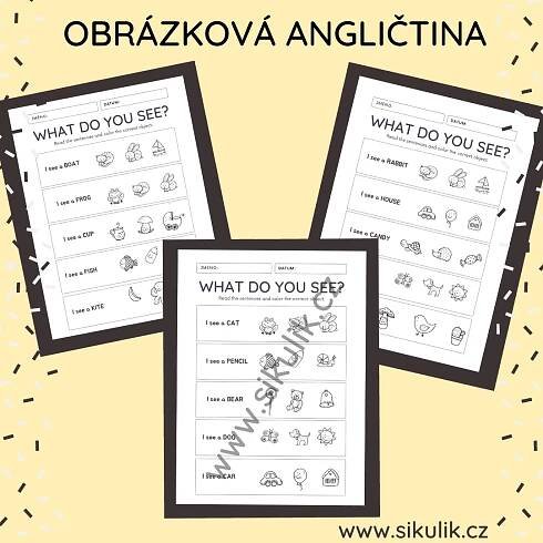 OBRÁZKOVÁ ANGLIČTINA