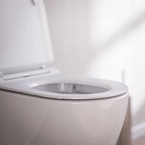 Závěsné WC rimless BERNSTEIN - ploché prkénko Soft Close Druh závěsná WC mísa