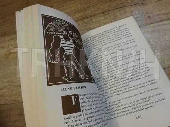 Kniha Černošský Pán Bůh a páni Izraeliti - Starej zákon a proroci - Trh knih - online antikvariát