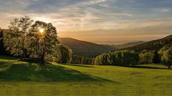 We Love Šumava