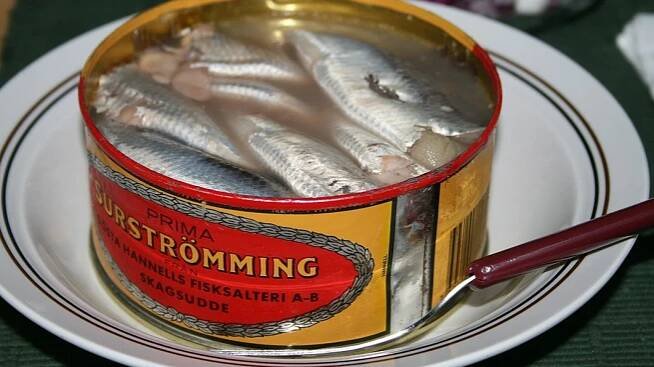 Fenomén jménem surströmming: S nejsmradlavější rybou na světě vás nepustí ani do letadla – G.cz