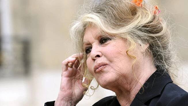 Brigitte Bardotová měla potíže s dýcháním - Novinky