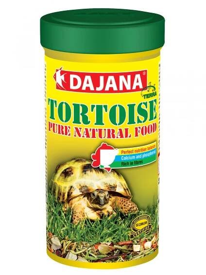 Tortoise