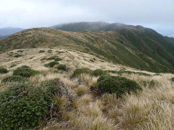 Ruahine Range