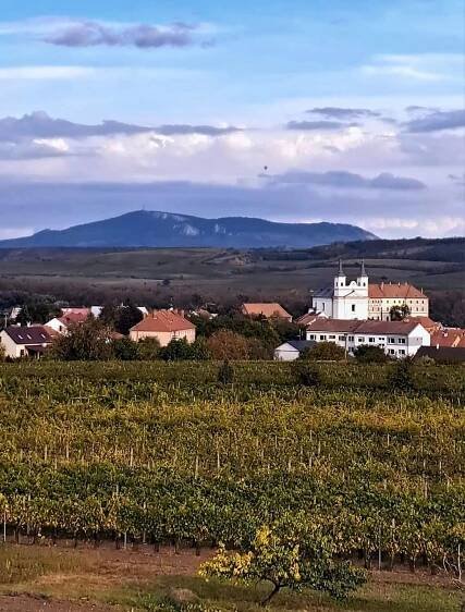 Vinný sklep Rozárka, pronájem chalupy Drnholec - ubytování Jižní Morava, 17180