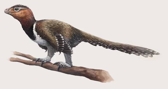 Balaur bondoc
