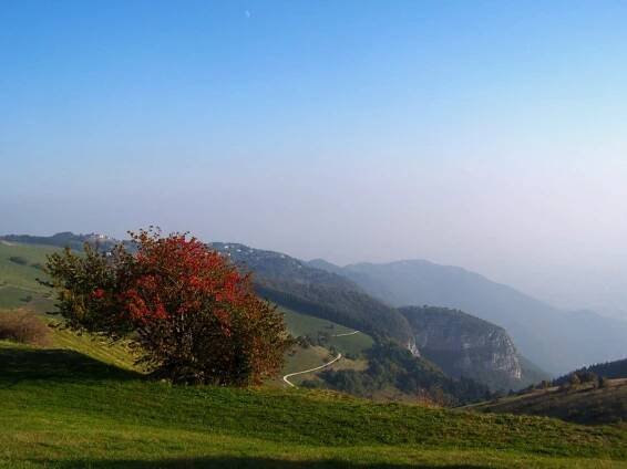 Monte Grappa Gallery