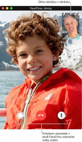 Okno FaceTimu během videohovoru, u jehož dolního okraje je vidět tlačítko Live Photo, tlačítko ukončení a ztlumení