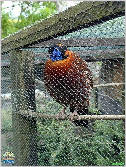 Zoopark Olovnice