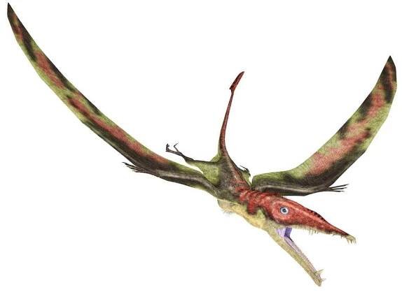 Eudimorphodon létající prehistorických plazů, fotorealistické represe — Stock obrázek