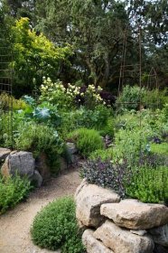 Veggie Garden, Potager Garden, Edible Garden, Vegetable Gardening, Edible Landscaping