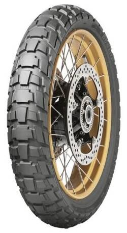 Dunlop Trailmax Raid Tires
