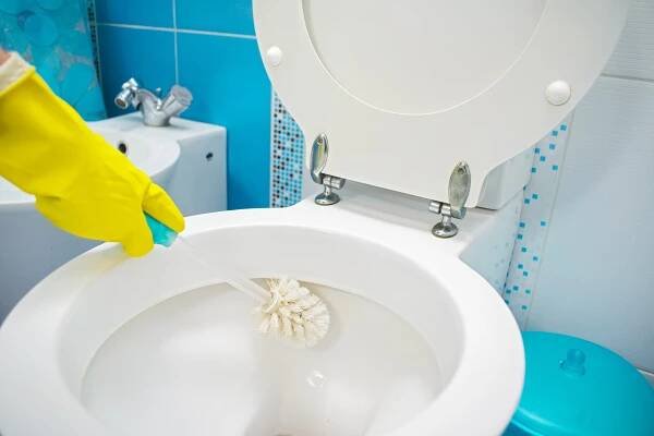 Is Your Toilet Trying to Tell You Something?