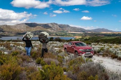 Ford's factories here in South Africa will be producing the new VW Amarok