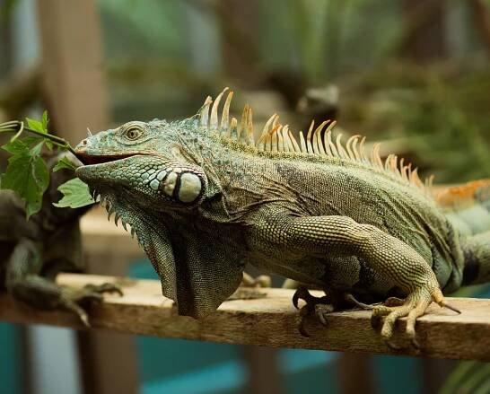 Belize Resort On-Site Tours