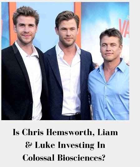 Is Chris Hemsworth, Liam & Luke Investing In Colossal Biosciences?