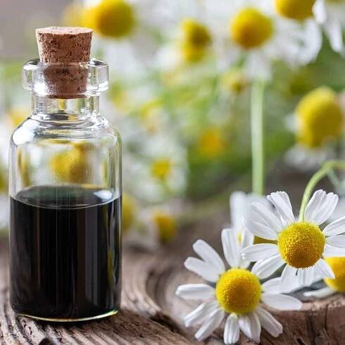 German Chamomile Essential Oil - Green Roots Botanicals Cleaning Service