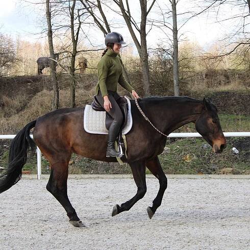 Equitation in balance - Kateřina Toušková - první licencovaný trenér Franklin Method Equestrian v České Republice