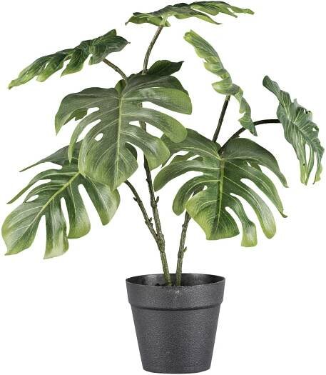 Umělá rostlina Filodendron, V: 41cm