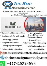 Assignment Writing experts in UAE