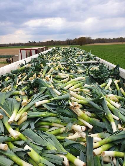 Spezialist für den internationalen Transport von Agrar-Schüttgütern | Van Vlastuin Agro