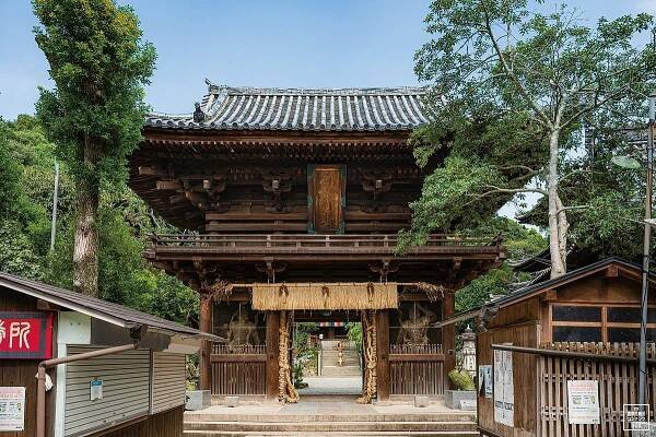 Ehime Prefecture: All You Must Know Before You Go (2025) - Tripadvisor