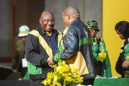 Mantashe asked Ramaphosa not to give all his powers to electricity minister