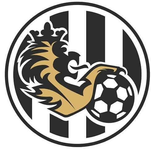 FC Hradec Králové představuje alternativní logo