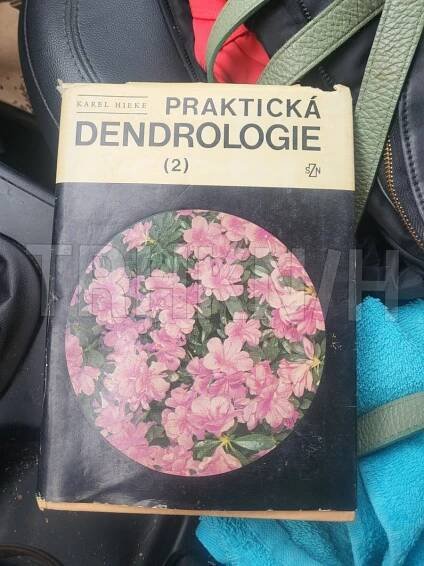 Kniha Praktická dendrologie - 2. - Trh knih - online antikvariát