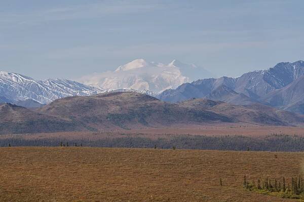 Eloping in Denali National Park