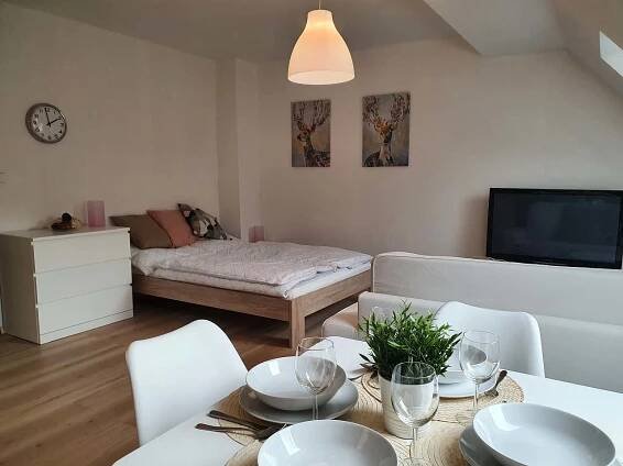 Apartmán 4 - k pronajmutí Mikulov - foto 20