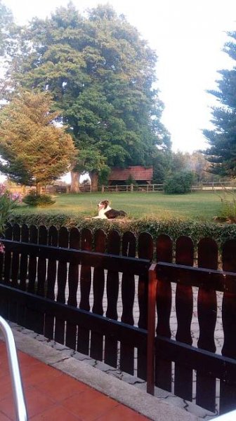 Penzion Romantika foto 6