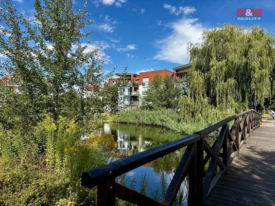 Pronájem bytu 1+kk a garsoniéry Hradec Králové 12 000 Kč za měsíc, foto 13