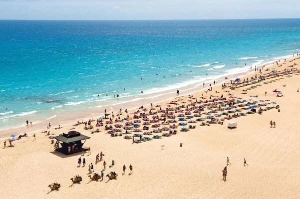 Riu Oliva Beach Resort