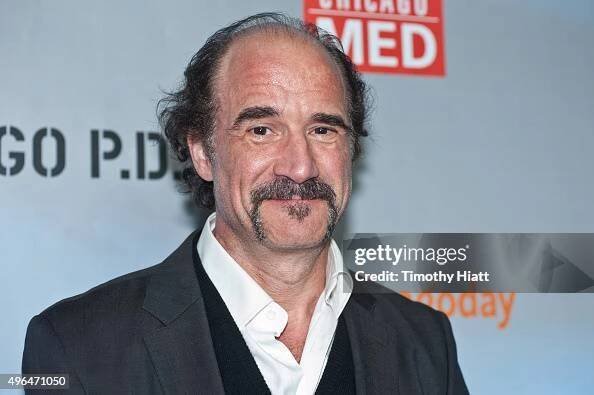 Actor Elias Koteas attends a premiere party for NBC's 'Chicago Fire',...