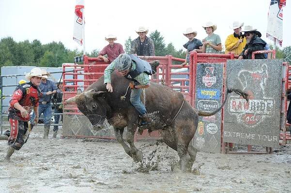 Rodeo web