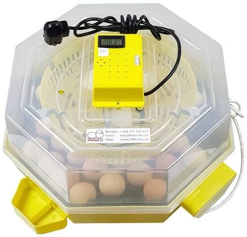 Ipee Amiral Trading Impex Cleo 5 DTH Automatic