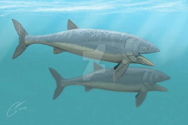 Leedsichthys