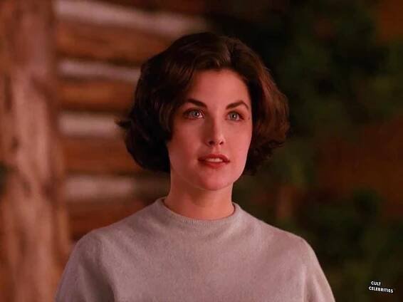 Sherilyn Fenn – Cult Celebrities