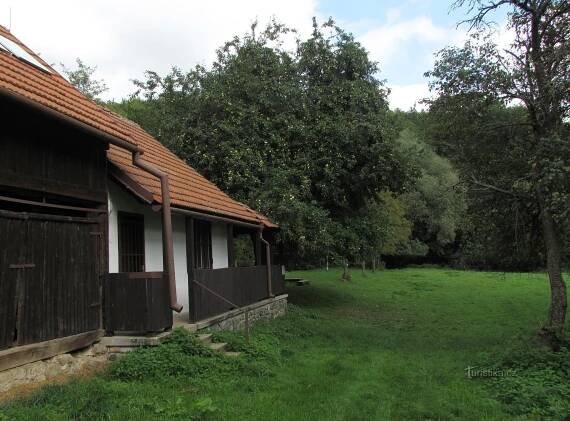 Chřiby - rybník Na Pile - Rybník | Turistika.cz