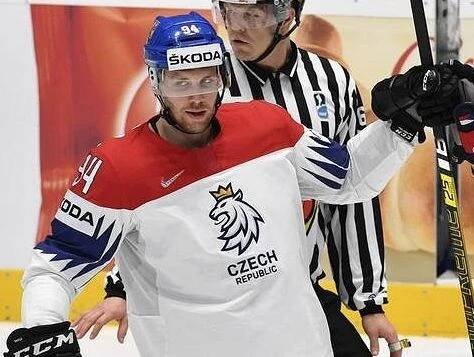 Radek Faksa - Sport.cz