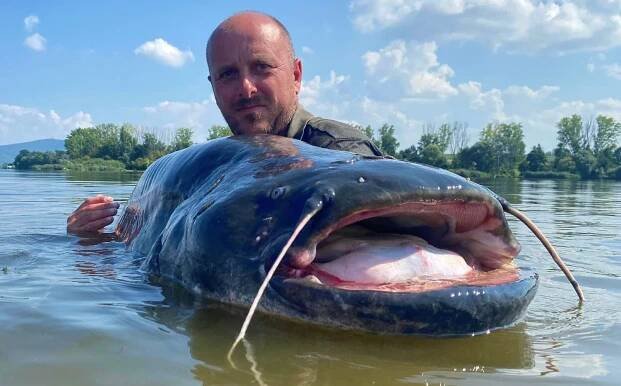 Sumec o váze 100 kilo nebo kapři přes 30 kilo: nej letošní úlovky z Česka