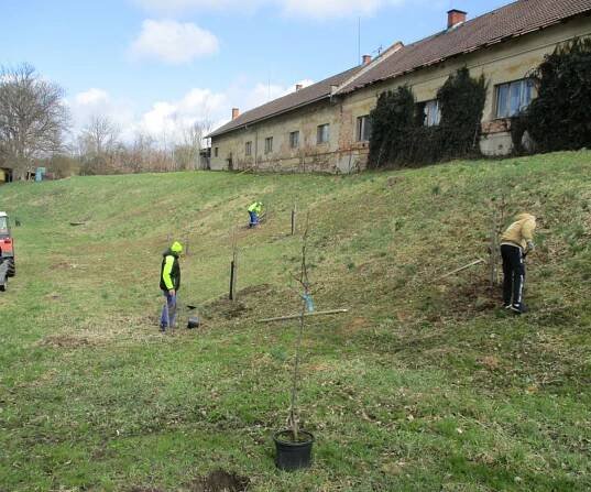 SÁZENÍ OVOCNÉHO SADU U HŘIŠTĚ - Obec Rohoznice