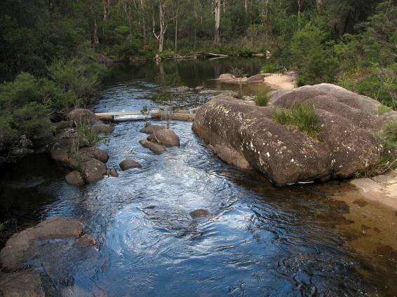 Grassy Creek to Mulligans Hut - World Heritage Walk